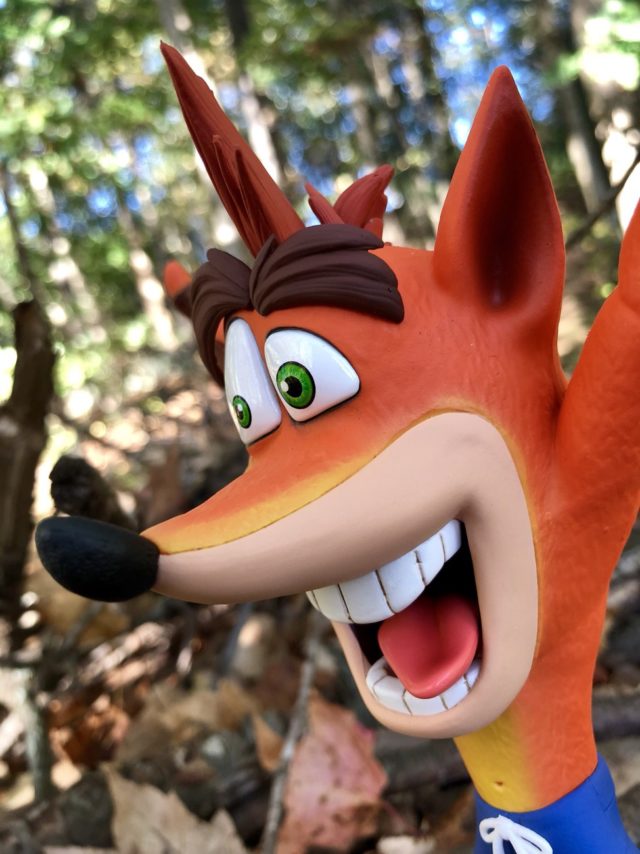 Side View of Crash Bandicoot First4Figures Statue Face Head