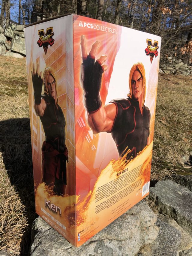 Back of PCS Ken Revisit MM Statue Box