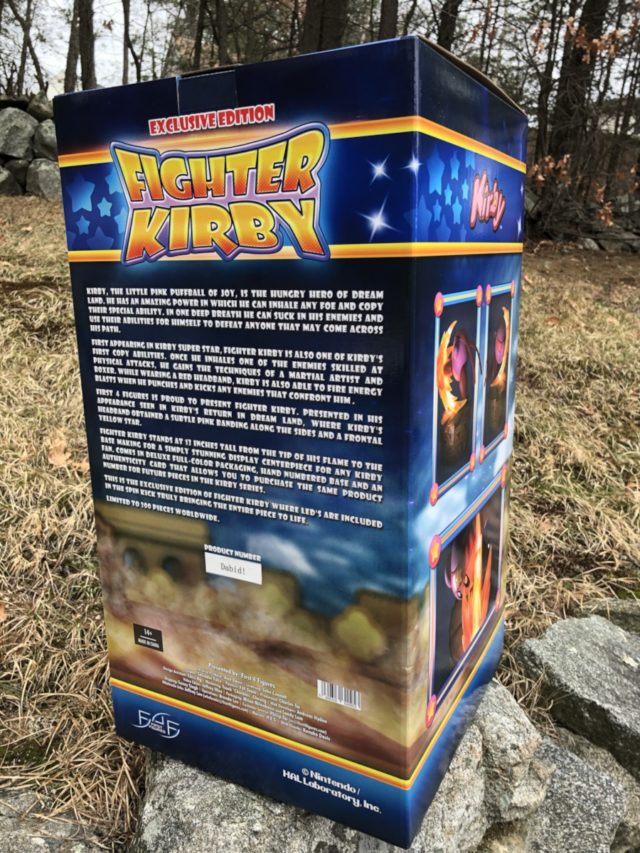 Back of Fighter Kirby First4Figures Exclusive Box